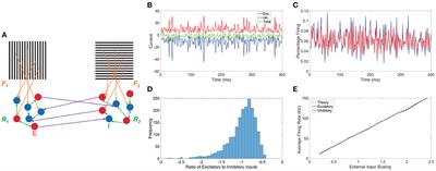 New insights into binocular rivalry from the reconstruction of evolving percepts using model network dynamics